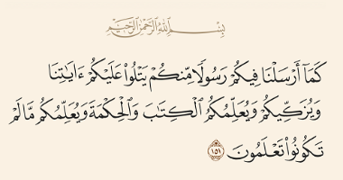 Bina Santri dan Peran Guru, Musyrif,  Murobbi