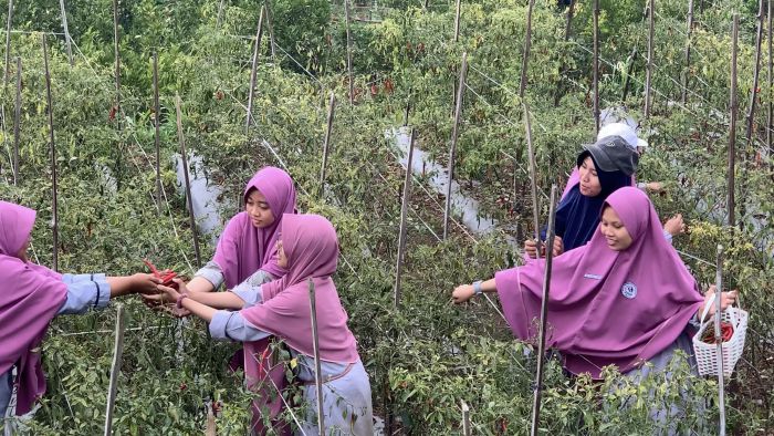 Membangun Tanggung Jawab Santri Dengan Mengabdikan Diri Kepada Negeri_2